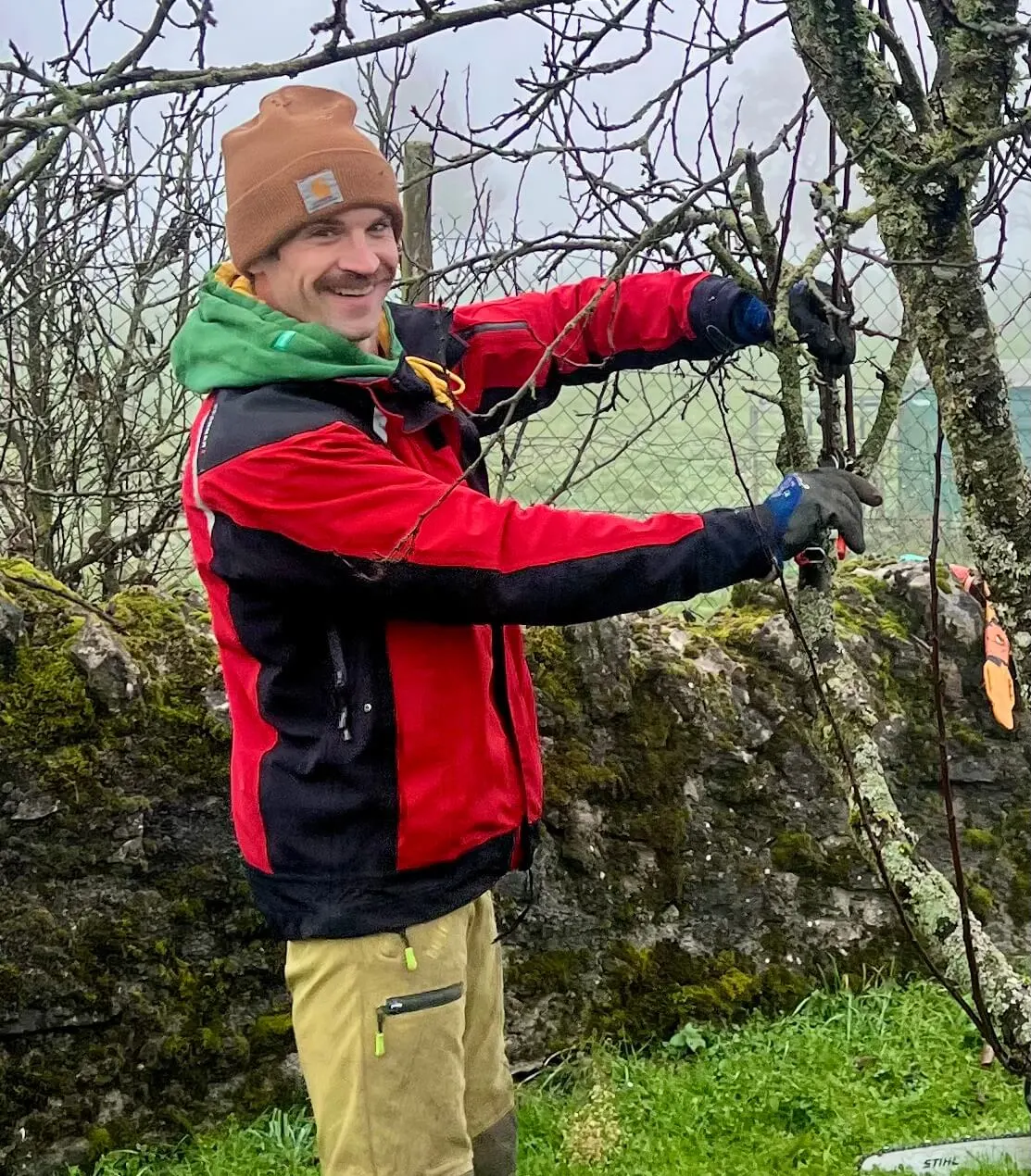 Andrew - Expert élagage